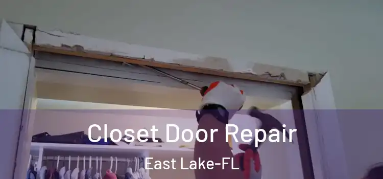  Closet Door Repair East Lake-FL