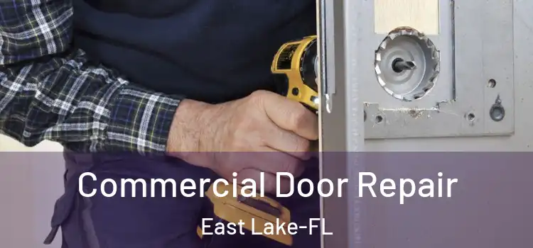  Commercial Door Repair East Lake-FL