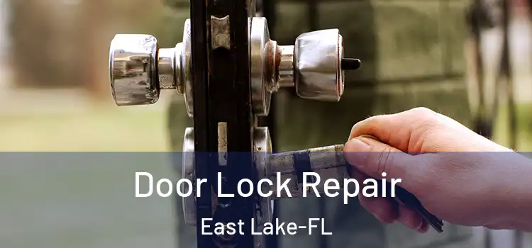  Door Lock Repair East Lake-FL