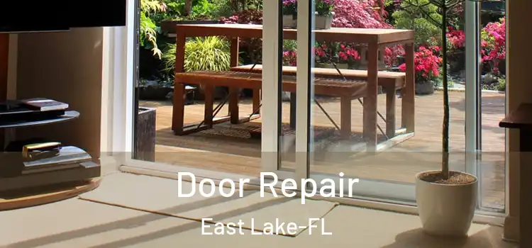  Door Repair East Lake-FL