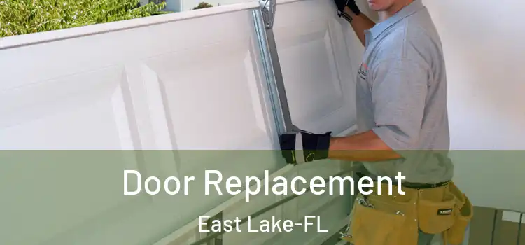  Door Replacement East Lake-FL