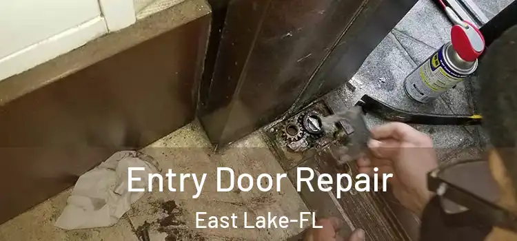  Entry Door Repair East Lake-FL
