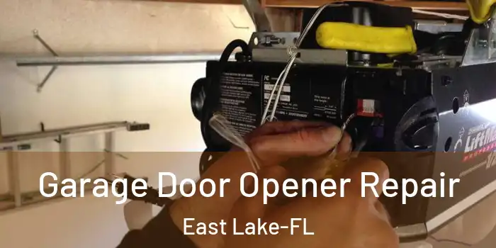  Garage Door Opener Repair East Lake-FL