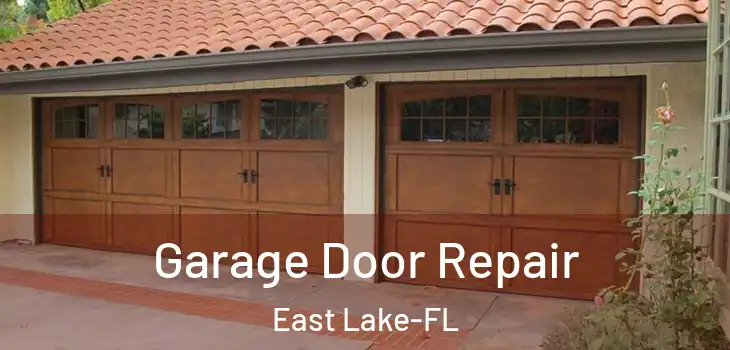  Garage Door Repair East Lake-FL