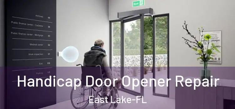 Handicap Door Opener Repair East Lake-FL