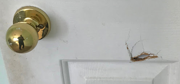 interior door hole repair East Lake