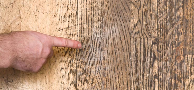 Wood Door Scratch Repair in East Lake