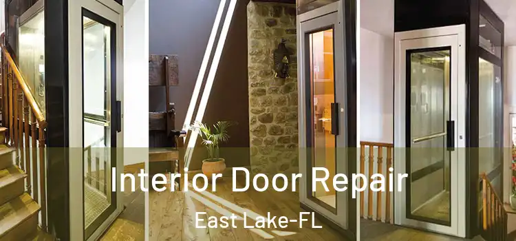  Interior Door Repair East Lake-FL