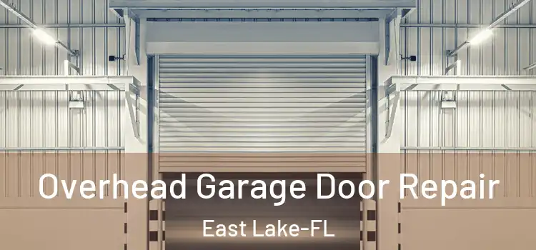  Overhead Garage Door Repair East Lake-FL
