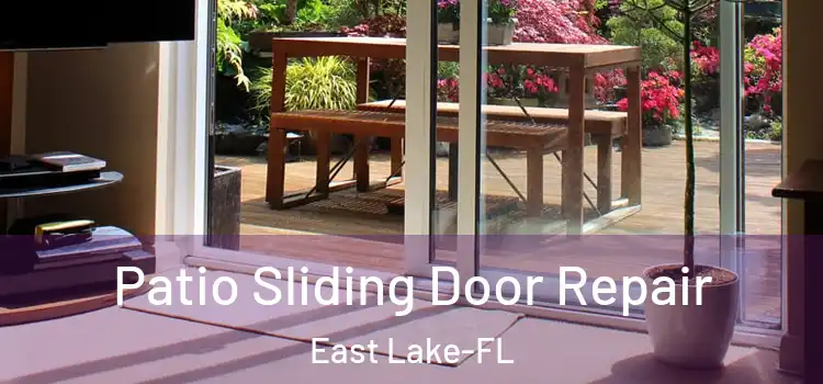  Patio Sliding Door Repair East Lake-FL
