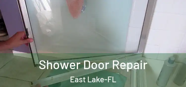  Shower Door Repair East Lake-FL