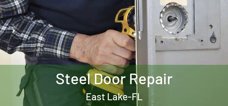  Steel Door Repair East Lake-FL